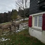Alpesi faház Le De Rothenbuhl