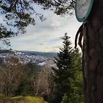 Alpesi faház Le De Rothenbuhl Dabo