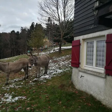 Dağ evi Le De Rothenbuhl