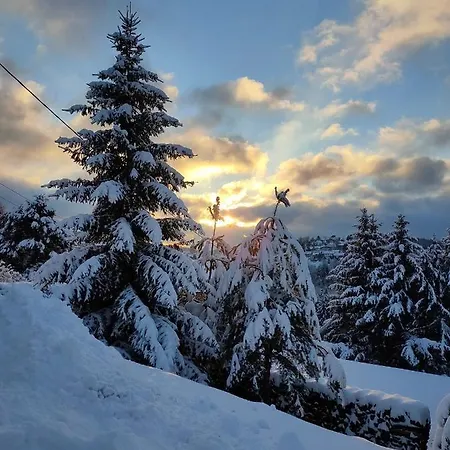 Le De Rothenbuhl Alpesi faház