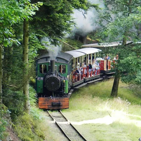 Le De Rothenbuhl Dabo