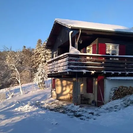 Le De Rothenbuhl Chalet *
