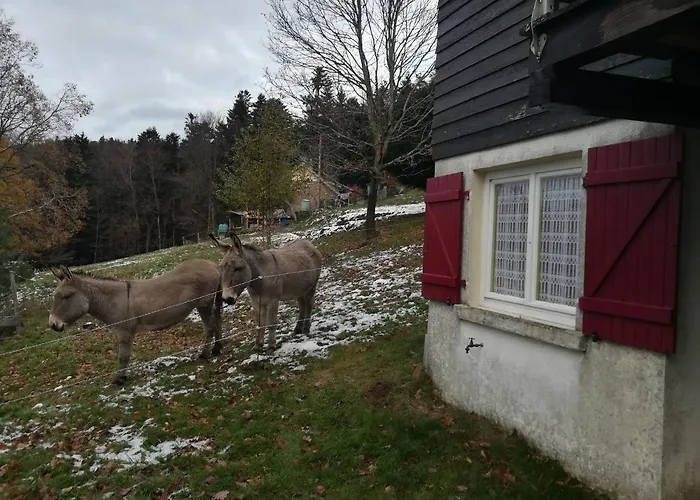 Σαλέ Le De Rothenbuhl