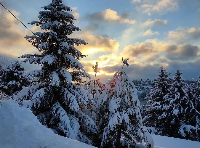 Le De Rothenbuhl Alpehytte