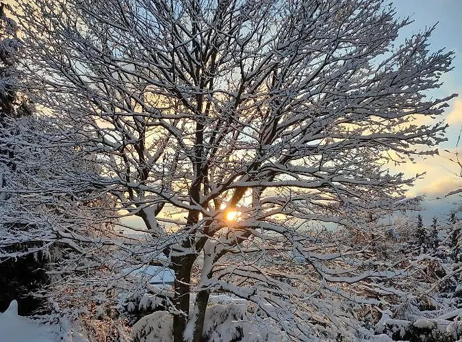 Alpehytte Le De Rothenbuhl