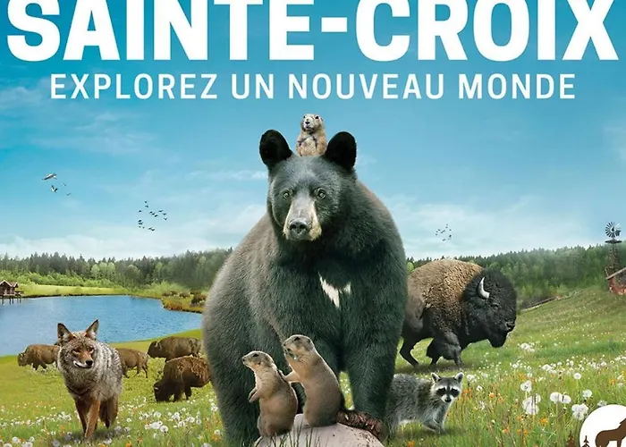 Le De Rothenbuhl Dabo