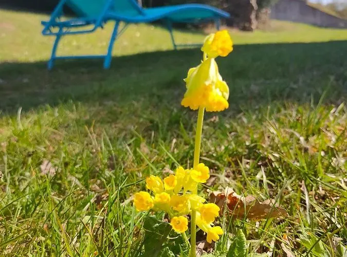 Σαλέ Le De Rothenbuhl *